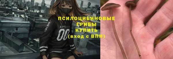 a pvp Алзамай