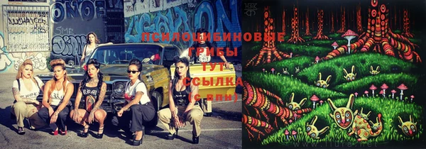 молекула духа Алексин