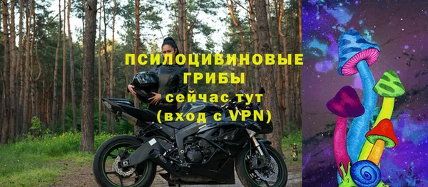 a pvp Алзамай