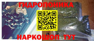 хмурый Можга
