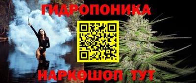 кокс Можайск