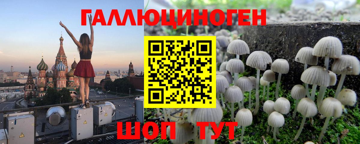 закладки  Псилоцибиновые грибы ЛСД  Вход с VPN  Арзамас 